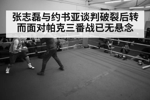 boxer training gym